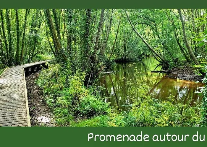 Le Resinier Semesterbostad *