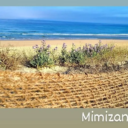 Le Resinier Ferienhaus *