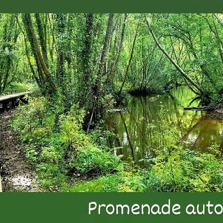 Le Resinier Ferienhaus *