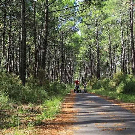 Ferienhaus Le Resinier Mimizan