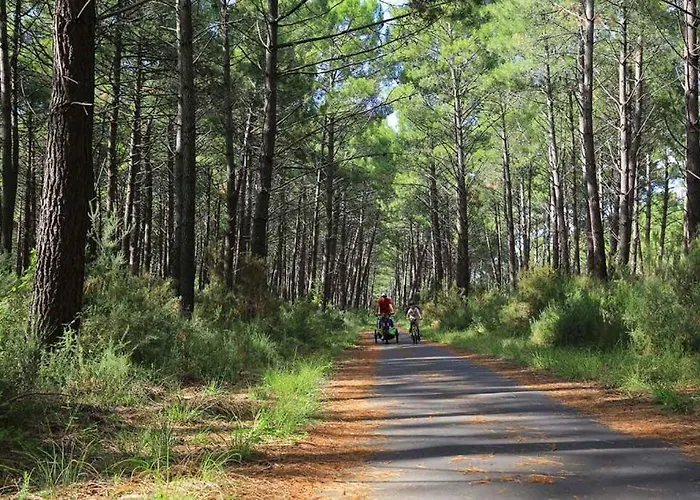 펜션 Le Resinier 미미장플라즈